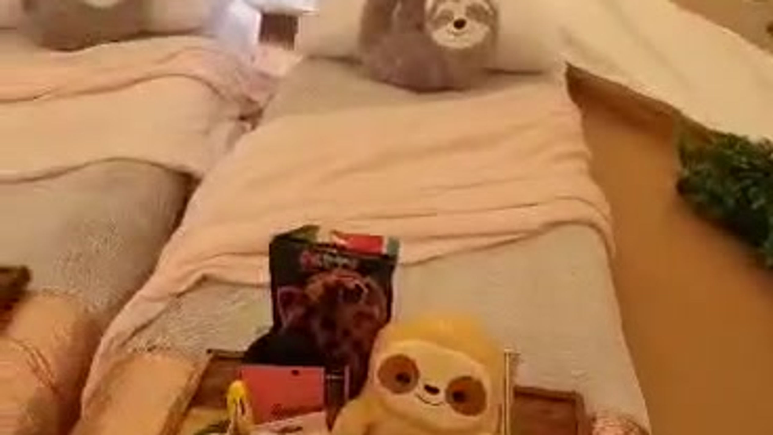 video-1642928604